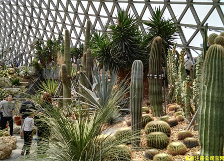 西安發(fā)放首批個體民宿營業(yè)執(zhí)照